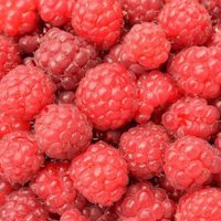 Himbeeren TK